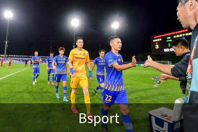 关于Bsport